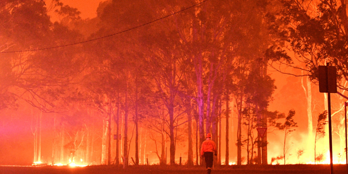 Revelan que los incendios destruyeron el 20 % de los bosques en Australia