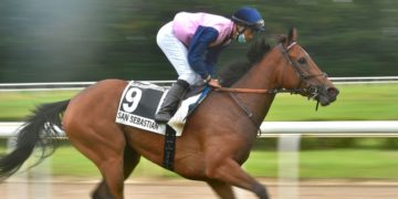 Encuentran descuartizado a Ocean Bay, un famoso caballo de carreras que habría sido comido por la gente en Venezuela