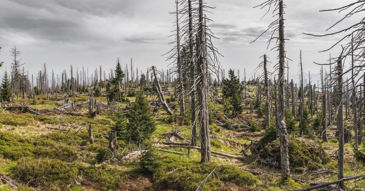 ¿Quieres salvar el planeta? Lanzan curso para quienes deseen evitar la destrucción de la Tierra