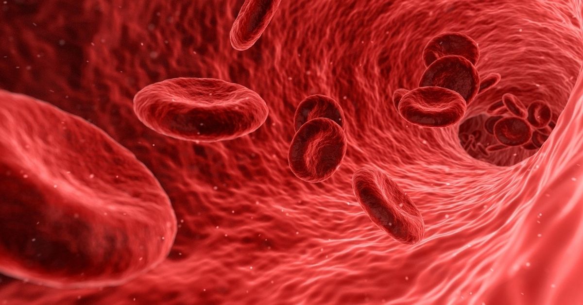 Revelan que el COVID-19 afecta a distintas células del sistema inmunitario según la gravedad de la infección