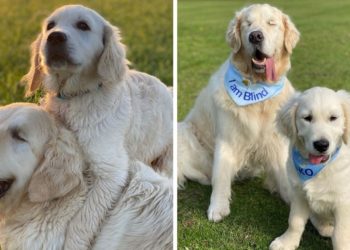 Tao y Oko. Foto: Instagram/ tao_mr_winky