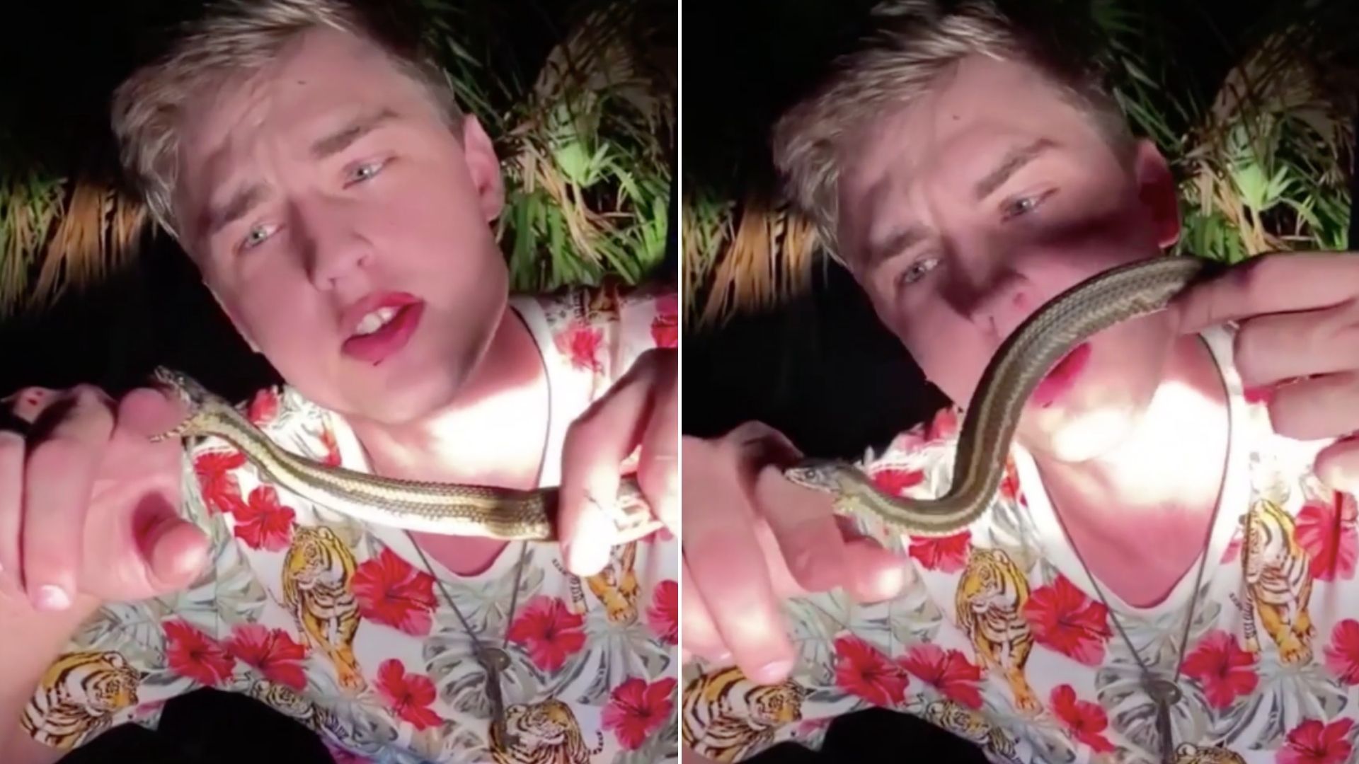 Hombre se deja morder por reptiles para demostrar “que no son peligrosos”