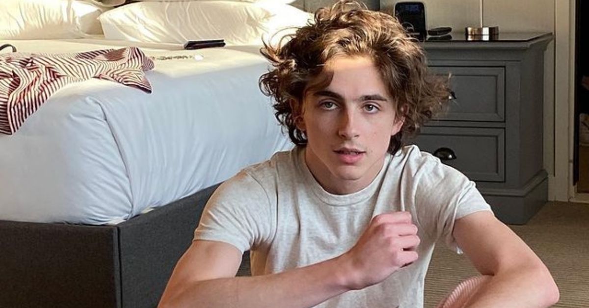 Timothée Chalamet sorprende como el hijo de ‘El joven manos de tijera’ en un comercial del Super Bowl