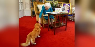 Los corgis de la reina fueron adoptados por un miembro de la familia real