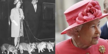 Más de 30 perros, caballos y cisnes fueron algunos de los animales que acompañaron a la reina Isabel II