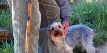 Necesitaba compañía: Mujer le regaló a su padre soltero de 86 años una perrita para que no se sienta solo